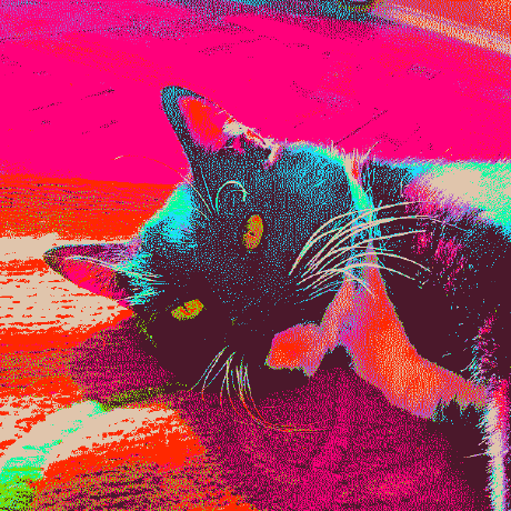 Profile picture (grainy, saturated image of Newton, one of my cats)